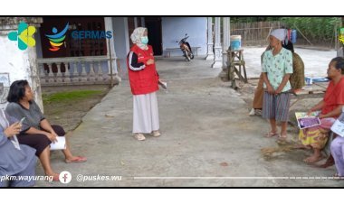 Tindak Lanjut Teritegrasi