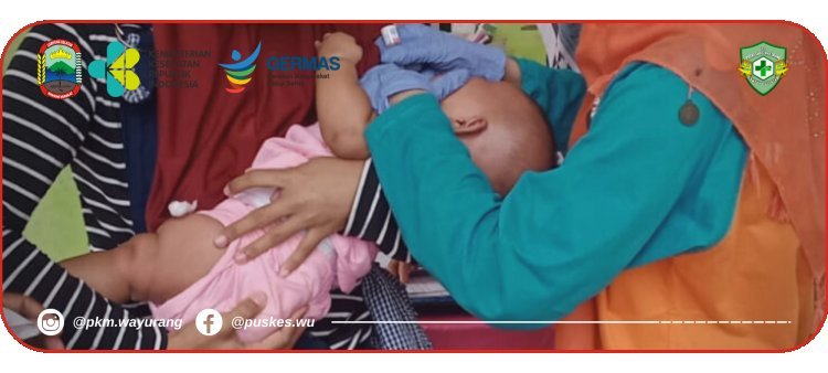 Posyandu Bayi Balita