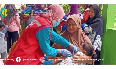 Posyandu Bayi Balita