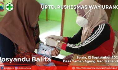 Posyandu Balita
