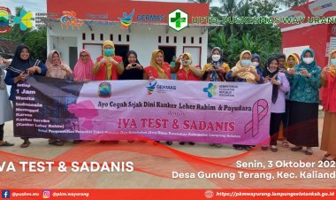 IVA Test & Sadanis