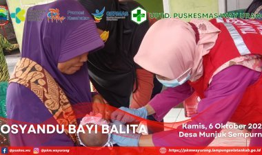 Posyandu Bayi Balita