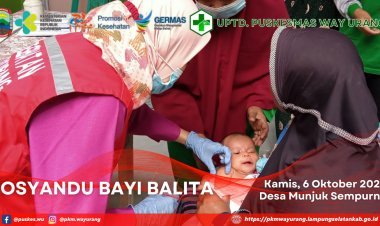 Posyandu Bayi Balita
