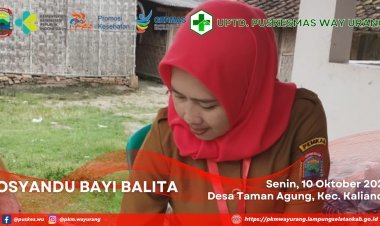 Posyandu Bayi Balita