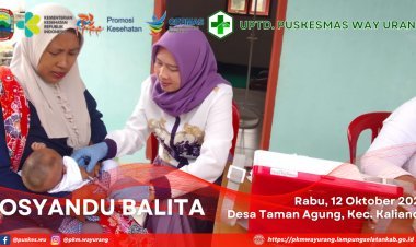 Posyandu Balita