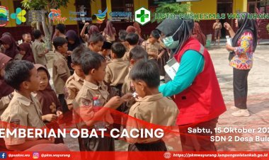Pemberian Obat Cacing
